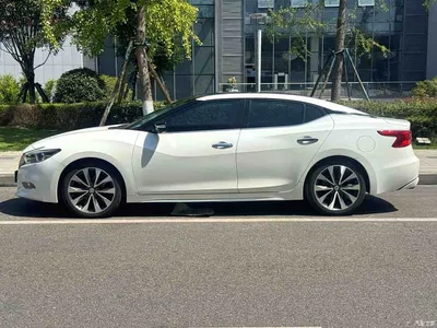 2016 Nissan Cima 2.5L XV Ultimate Edition, фото 3, лот 11582896