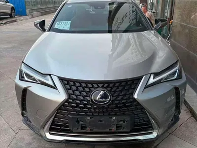 2020 Lexus UX Electric 300e Pure Yue Edition, фото 2, лот 10805098