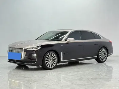 2020 Hongqi H9 3.0T Smart Connect Flagship 4-Seater, фото 1, лот 10304164