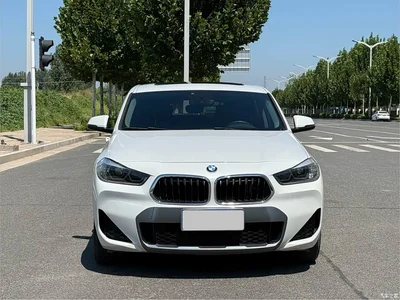 2020 BMW X2 sDrive20i M Off-Road Package, фото 2, лот 10236930