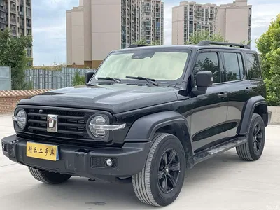 2021 Tank 300 Off-road Version 2.0T Conqueror, фото 1, лот 10345126