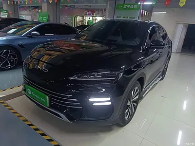 2023 BYD Song PLUS PHEV Champion Edition DM-i 110KM Flagship, фото 1, лот 11461511