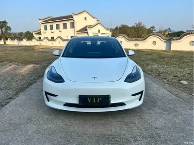 2022 Tesla Model 3 Model Rear-Wheel Drive Version, фото 2, лот 11099542