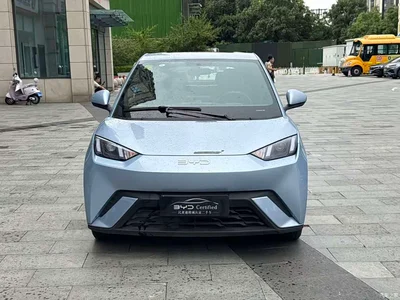 2024 BYD Seagull Glory Edition 305km Vitality Edition, фото 4, лот 10248495