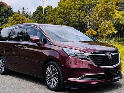 2022 Buick GL8 ES Landmark 653T Luxury, фото 3, лот 10254660