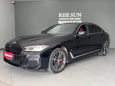 2022 BMW 5 Series Facelift II 530Li Executive Luxury Package, фото 1, лот 11249776