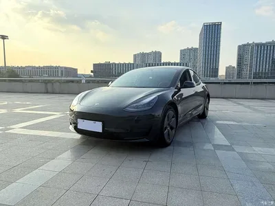 2022 Tesla Model 3 Model Rear-Wheel Drive Version, фото 1, лот 10667455