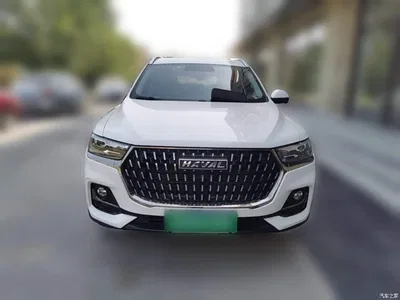 2021 Haval H6 National Trend Edition 1.5GDIT Automatic Champion Edition, фото 2, лот 10300805