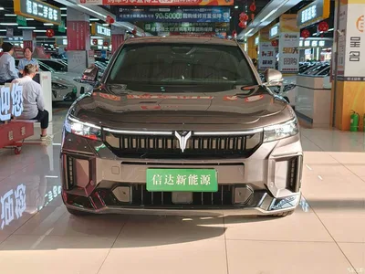 2025 Voyah Auto VOYAH FREE 318 259km 4WD Explorer Edition, фото 2, лот 10311043