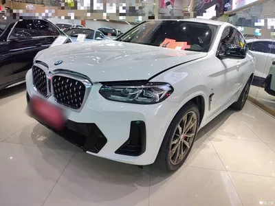 2022 BMW X4 xDrive 30i M Sport Package, фото 1, лот 10476905