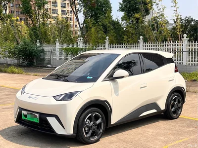 2023 BYD Seagull Freedom Edition, фото 1, лот 10254512