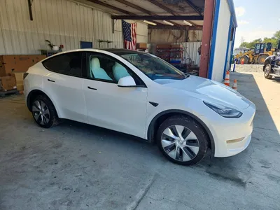 2023 TESLA MODEL Y, фото 4, лот 10854791
