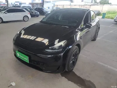 2022 Tesla Model Y Facelift Rear-Wheel Drive Version, фото 1, лот 10369730