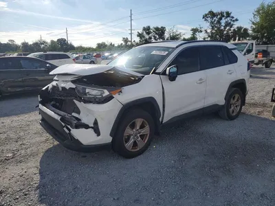 2019 TOYOTA RAV4 XLE, фото 1, лот 11280186