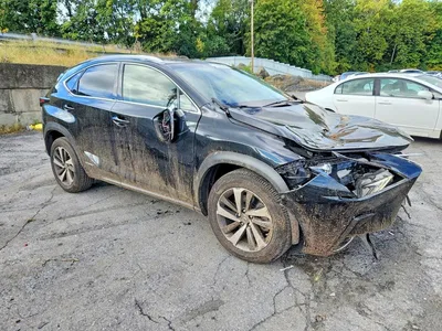2018 LEXUS NX 300H, фото 4, лот 11576096