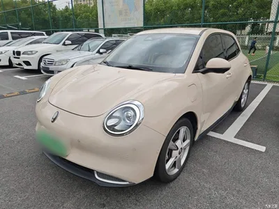 2021 Ora Good Cat 400km Standard Range Athena Edition (LFP), фото 2, лот 11448846