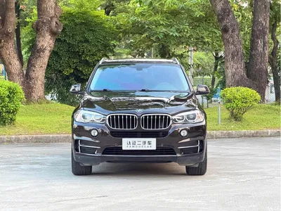 2017 BMW X5 (Import) xDrive28i, фото 2, лот 10770800