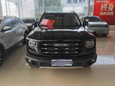2022 Haval Big Dog 2.0T DCT AWD Howling Celestial Dog Edition, фото 2, лот 10415786