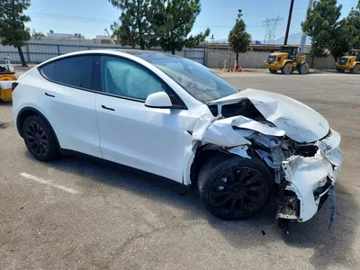 2023 TESLA MODEL Y, фото 4, лот 10852182