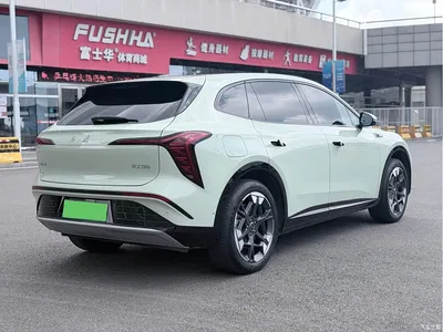 2025 Hongqi Tiangong 06 520 Smart Selection, фото 4, лот 10287459
