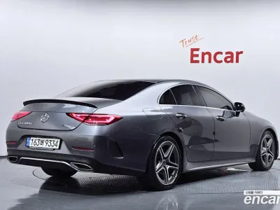 2019 Mercedes-Benz CLS-Class CLS300d AMG Line, фото 3, лот 10203835