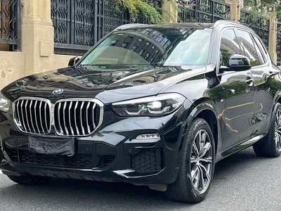 2021 BMW X5 (Import) xDrive30i M Sport Package, фото 1, лот 11138640