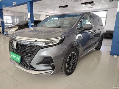 2021 Roewe iMAX8 400TGI Supreme Series Ultimate Edition, фото 1, лот 10340638