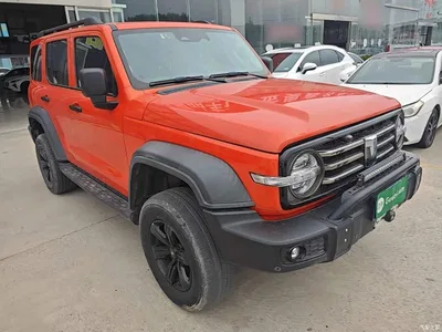 2021 Tank 300 Off-road Version 2.0T Conqueror, фото 4, лот 10451180