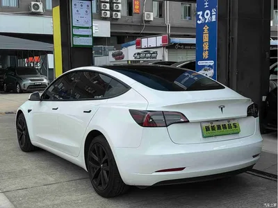 2021 Tesla Model 3 Standard Range Rear-Wheel Drive Upgrade 3D6, фото 4, лот 11570225