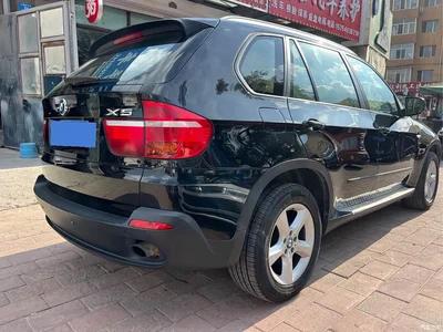 2009 BMW X5 (Import) xDrive30i Luxury, фото 4, лот 10463999