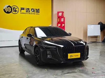2025 Hongqi H5 1.5T DCT Mystic Shadow, фото 3, лот 10304087