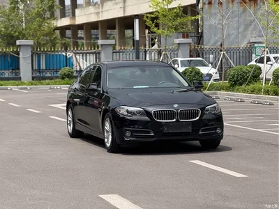 2014 BMW 5 Series 520Li Elegance, фото 3, лот 10443865