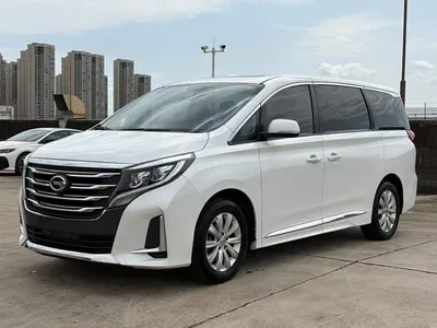 2020 GAC Trumpchi Trumpchi M8 Pilot 390T Premium Edition, фото 2, лот 11007404