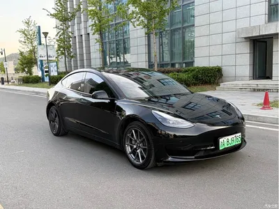 2023 Tesla Model 3 Rear-Wheel Drive, фото 3, лот 10346648