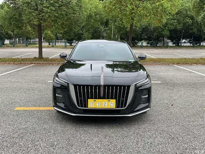2025 Hongqi H5 2.0T Automatic Flag Celebration 500,000 Units Anniversary Edition, фото 2, лот 11174619