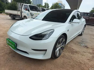 2019 Tesla Model 3 (Import) Performance High-Efficiency All-Wheel Drive Version, фото 2, лот 10369866