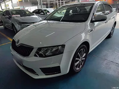 2017 Škoda Octavia 1.6L Automatic Pioneer Edition, фото 2, лот 10347823