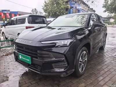2025 Jetour Dasheng 1.5T DCT Elite Edition, фото 1, лот 10822212