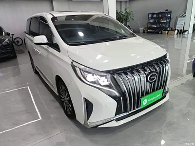 2021 GAC Trumpchi Trumpchi M8 Leading Show Series 390T Prestige Edition, фото 4, лот 11178501