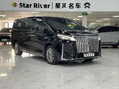 2023 WEY Alpine AWD Executive Long Wheelbase, фото 3, лот 10834056