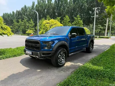 2018 Ford F-150 Raptor 3.5T Raptor Performance Enhanced Edition, фото 1, лот 11534025
