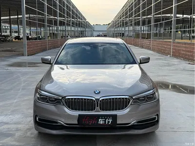2020 BMW 5 Series New Energy 530Le Luxury Package, фото 2, лот 10473969