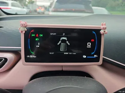 2025 BYD Seagull Smart Drive Edition 305km Vitality Version, фото 4, лот 10262887