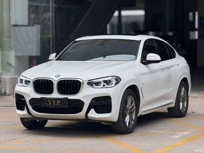 2020 BMW X4 xDrive25i M Sport Package, фото 1, лот 10890172