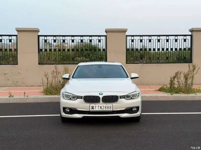 2019 BMW 3 Series 320Li Fashion Type, фото 2, лот 11103772