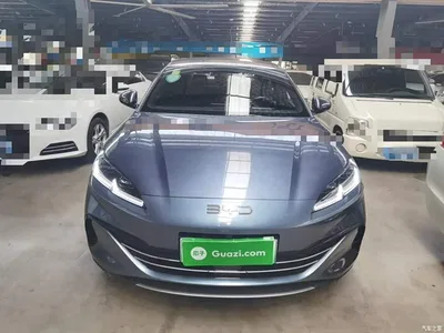 2024 BYD Seal 06 New Energy DM-i 80KM Prestige, фото 3, лот 10272093