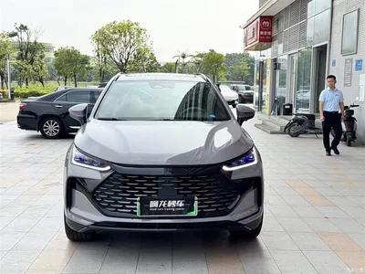2025 BYD Tang New Energy Smart Driving Edition DM-i 115KM Honor, фото 2, лот 11012624