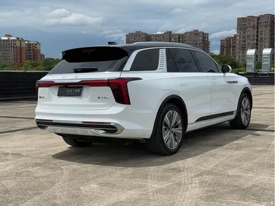 2022 Hongqi E-HS9 660km Qi Chang Edition (6-seater), фото 4, лот 10286410