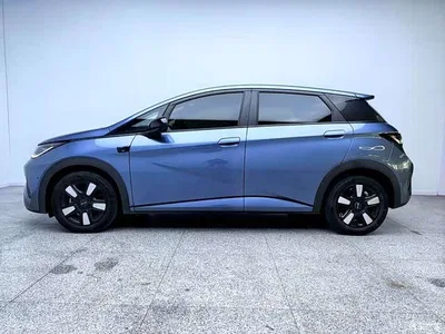 2025 BYD Dolphin Smart Drive Edition 410km Fashion Version, фото 4, лот 11087267