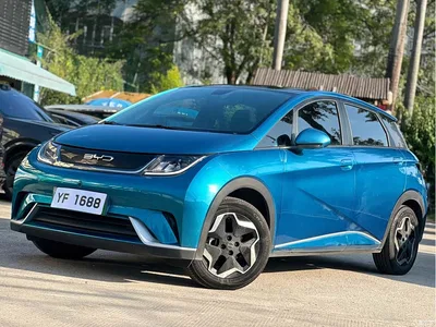 2021 Byd Dolphin, фото 1, лот 10245482